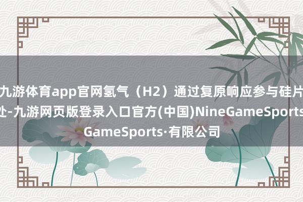 九游体育app官网氢气（H2）通过复原响应参与硅片的名义惩处-九游网页版登录入口官方(中国)NineGameSports·有限公司